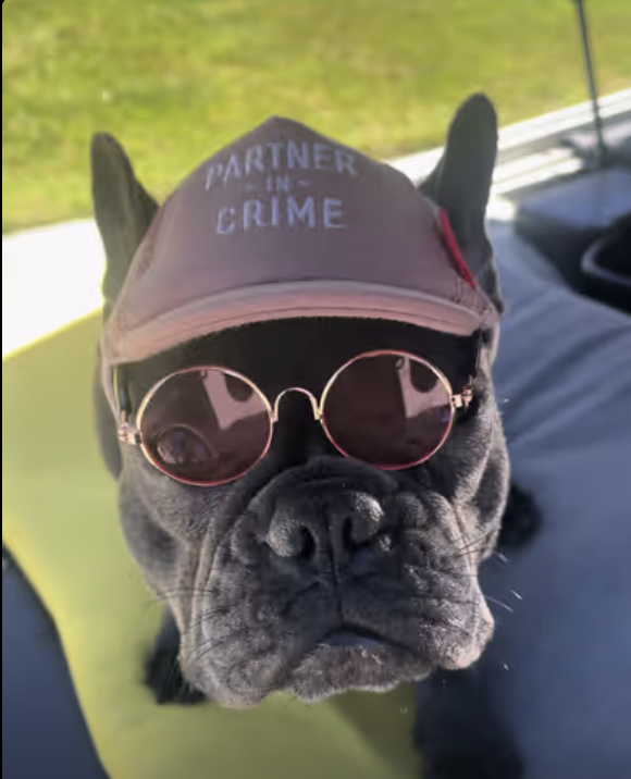 Frenchie Maintenance Tech !